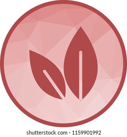 Leaf, leaves, green