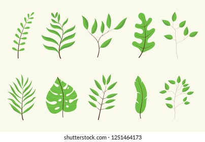 leaf or leaves green tree set collection with white color vector illustration