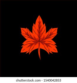 The leaf and leaves logo design for poster design wallpaper special on autumn Thanksgiving day