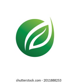 Leaf leaves logo green vector 