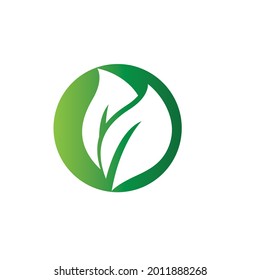 Leaf leaves logo green vector 