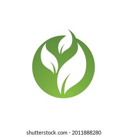 Leaf leaves logo green vector 