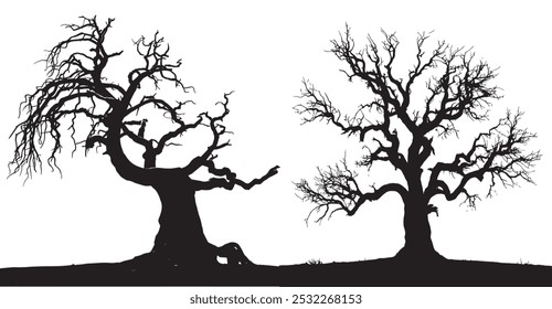 leaf less haunted tree with twisted branches isolated on transparent background