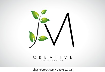 Leaf Letter M Logo Design with Green Leaves on a Branch. Letter M with nature concept. Eco and Organic Letter Vector Illustration. 
