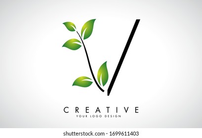 Leaf Letter V Logo Design with Green Leaves on a Branch. Letter V with nature concept. Eco and Organic Letter Vector Illustration. 