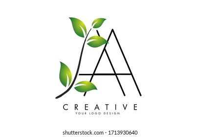 Leaf Letters AA A Logo Design with Green Leaves on a Branch. Letters AA with nature concept. Eco and Organic Letter Vector Illustration. 