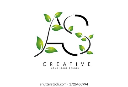 Letras de hoja como diseño con logotipo S con hojas verdes en una rama. Letras AS con concepto de naturaleza. Ilustración de vectores de letras ecológicas y orgánicas. 