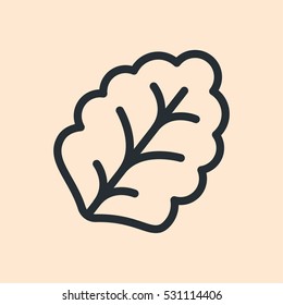 Leaf Lettuce Plant Minimal Flat Line Outline Stroke Icon Pictogram Symbol