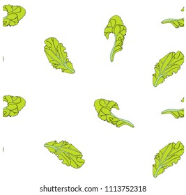Leaf lettuce seamless hand drawn green pattern  design elements stock vector illustration for web, for print