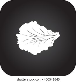 Leaf lettuce  sign black simple icon on  background