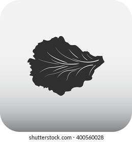 Leaf lettuce  sign black simple icon on  background