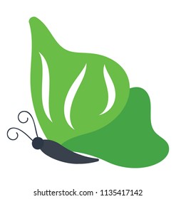 
Leaf like structured butterfly with thigh like wings shape, icon for kalia inachus butterfly
