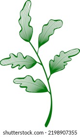
Leaf Line Art for Backgroun Or Decoration. A simple flat vector design.
