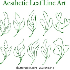 Leaf Line Art for Backgroun Or Decoration. A simple flat vector design.