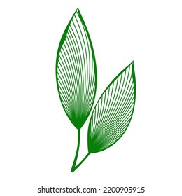 Leaf Line Art for Backgroun, Logo, Or Decoration. A simple flat vector design.