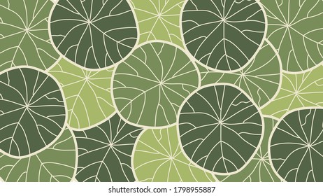 Leaf line art background vector, wallpaper and print, house plant, Vector illustration.