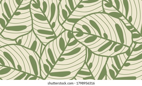 Leaf line art background vector, wallpaper and print, house plant, Vector illustration.