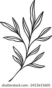 Leaf Line Art | Botanical Plant Graphic | Nature Design