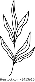 Leaf Line Art | Botanical Plant Graphic | Nature Design