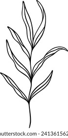 Leaf Line Art | Botanical Plant Graphic | Nature Design