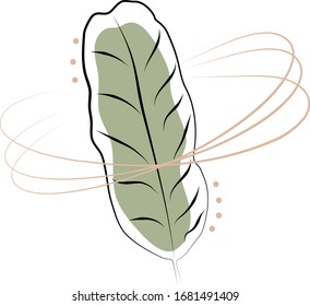 leaf line art with color block for logos, textile,invitation, branding, scrapbooks, packaging, prints, wall art and much more 