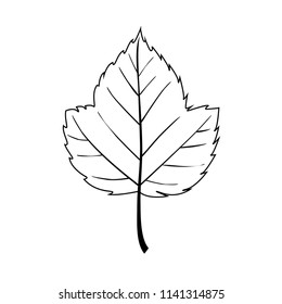 Leaf line art. Contour drawing. Minimalism art. Vector illustration isolated on white background.