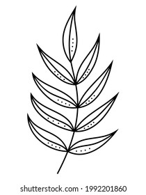 Dibujo de línea de hoja. Dibujo de contorno. Arte minimalista. Decoración moderna. Hojas tropicales de palma. Flor botánica exótica. Elemento de ilustración aislado. Para fondo, textura, patrón de envoltura, marco o borde.