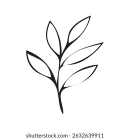Leaf Line Art Hand Draw Vector Illustration