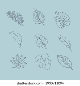 Leaf line art hand drawing illustration design of vector.