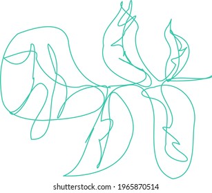 leaf line art hand drawn style vector