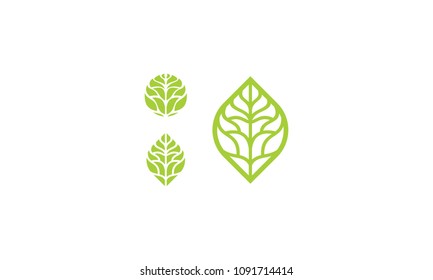 leaf line art logo vector