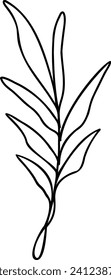 Leaf Line Art | Minimalist Botanical Plant Graphic