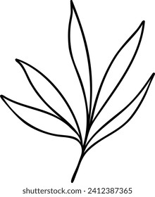 Leaf Line Art | Minimalist Botanical Plant Graphic
