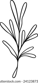 Leaf Line Art | Minimalist Botanical Plant Graphic