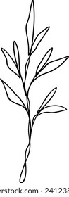 Leaf Line Art | Minimalist Botanical Plant Graphic