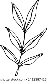 Leaf Line Art | Minimalist Botanical Plant Graphic