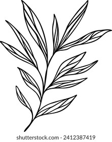Leaf Line Art | Minimalist Botanical Plant Graphic