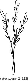 Leaf Line Art | Minimalist Botanical Plant Graphic