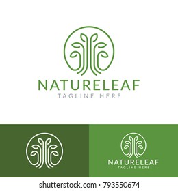 Leaf line art nature logo