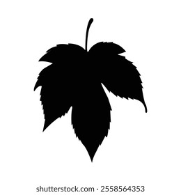 Leaf Line Art Vector for Banner Design.