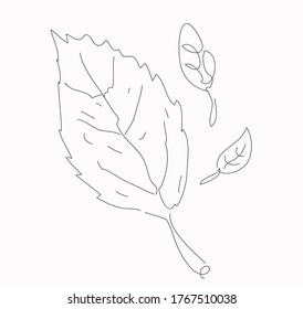 leaf line art vector design. eps10