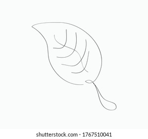 leaf line art vector design. eps10