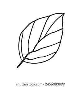 Ilustración dibujada a mano de Vector de arte de línea de hoja. Hojas blancas y negras