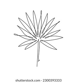 LEAF LINE ART. Vector plant leaf Continuous Line Drawing. Vector for print poster, card, sticker tattoo, tee with palm tree leaf. One Line art black Hand Drawn simple Illustration on White Background