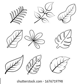 Leaf line black pattern vector