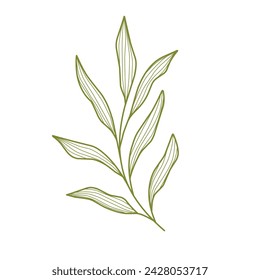 dibujo de líneas de hoja. Fondo de contorno floral dibujado a mano. Decoración de líneas de las hojas