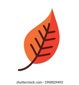 leaf line and fill style icon design of Plant natural floral theme Vector illustration