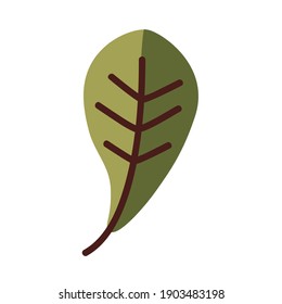 leaf line and fill style icon design of Plant natural floral theme Vector illustration