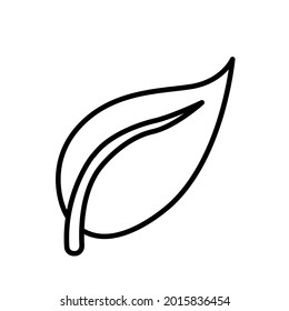 leaf line icon design vector template