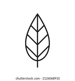leaf line icon. eco, botanical and nature symbol. isolated vector image in simple style